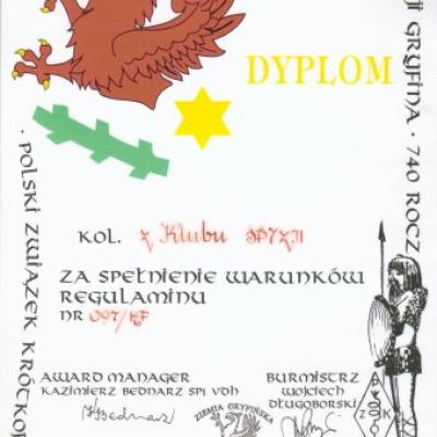 Dyplom A4 03